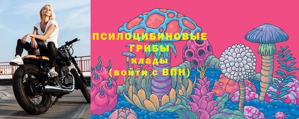 дурь Арсеньев