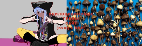 дурь Михайлов