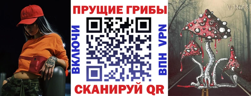 где купить наркотик  Руза  Псилоцибиновые грибы GOLDEN TEACHER 